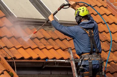 Démoussage et hydrofuge de toiture à Lavardens